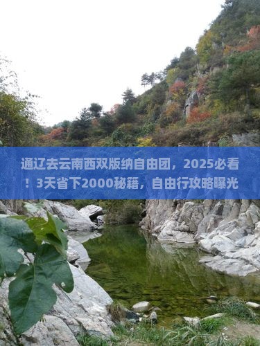 通辽去云南西双版纳自由团
