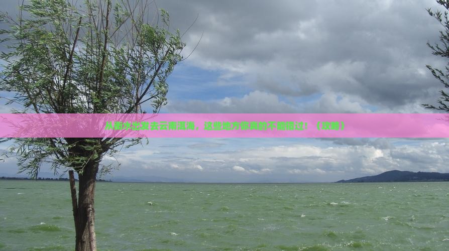 衡水去云南洱海必去地