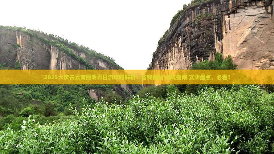 大庆去云南昆明五日游