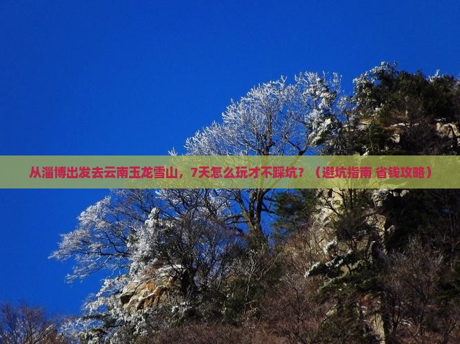 淄博去云南玉龙雪山七日游