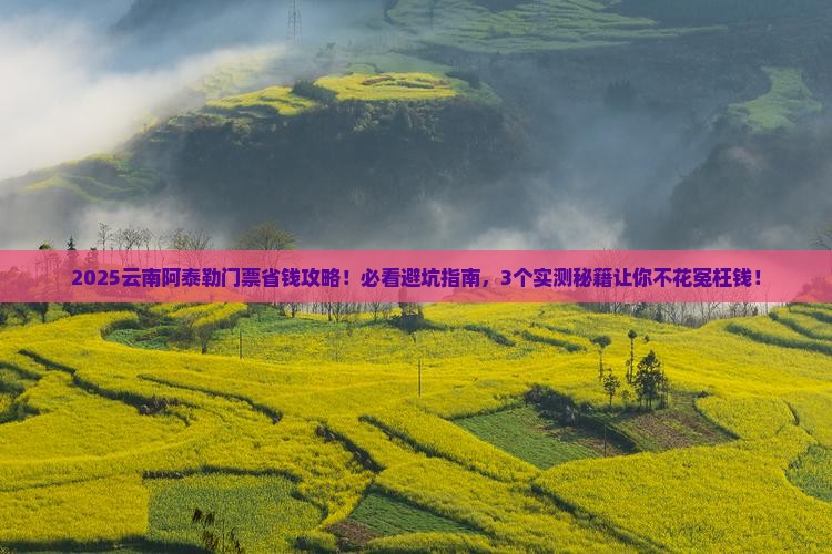 阿泰勒到云南门票