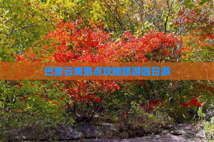 巴彦倬尔到云南四日游