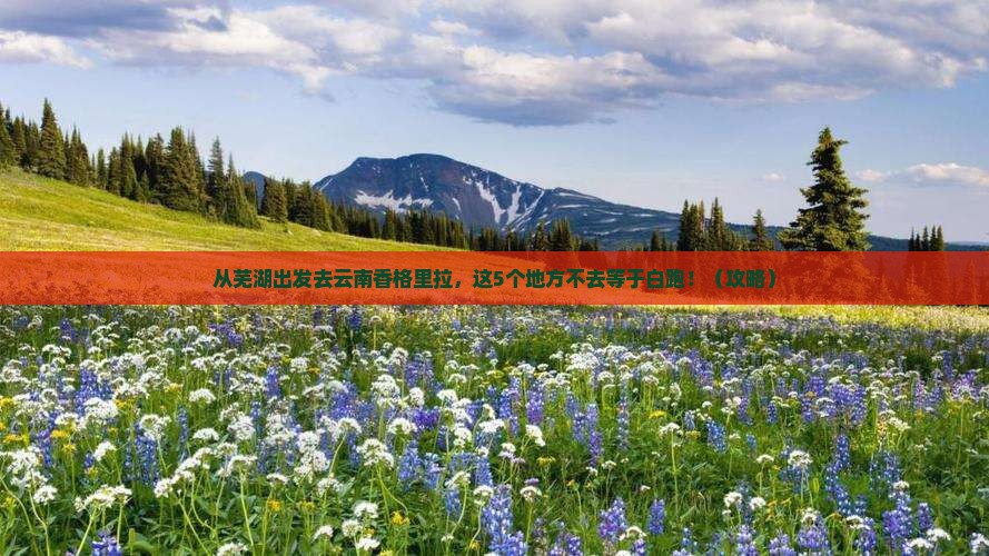 芜湖去云南香格里拉必去地