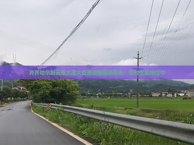齐齐哈尔到云南大理大型旅游团