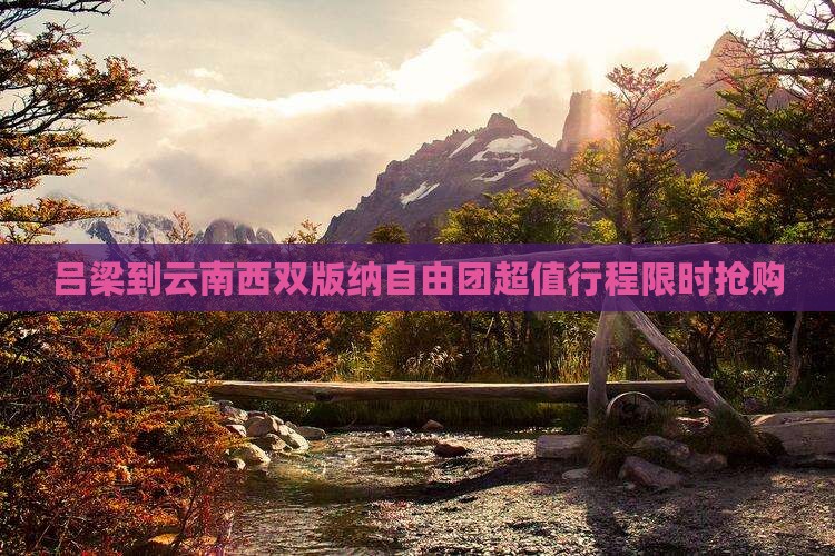 吕梁到云南西双版纳自由团