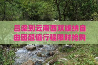 吕梁到云南西双版纳自由团