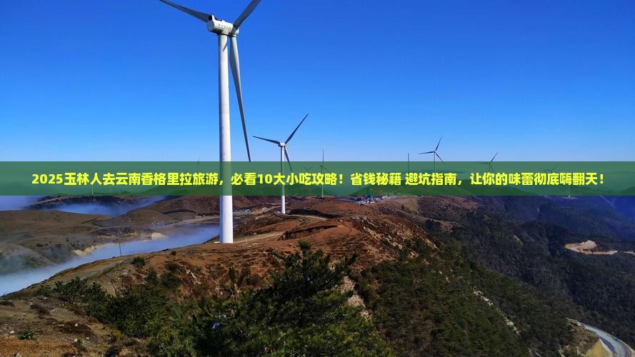 玉林去云南香格里拉旅游小吃