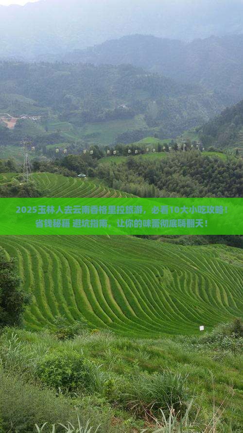 玉林去云南香格里拉旅游小吃