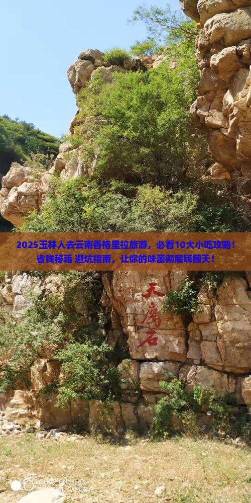 玉林去云南香格里拉旅游小吃