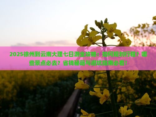 徐州到云南大理七日游 徐州到云南大理七日游