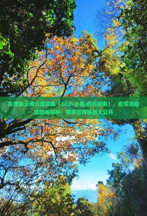 太原去云南大理攻略