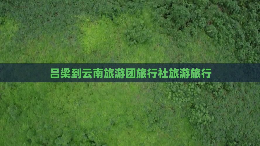 吕梁到云南旅行社