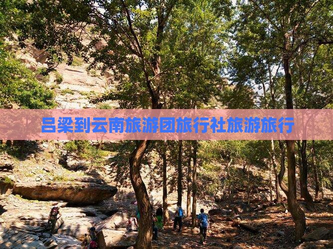 吕梁到云南旅行社
