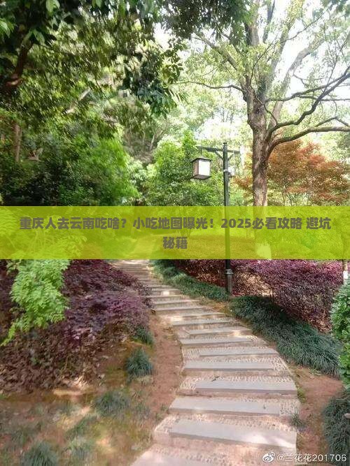 重庆去云南旅游小吃