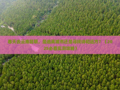 春天到云南昆明个人游