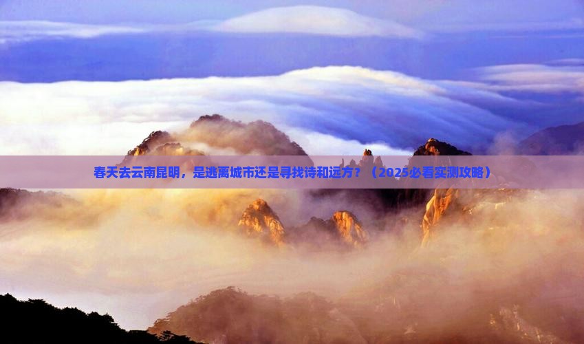 春天到云南昆明个人游