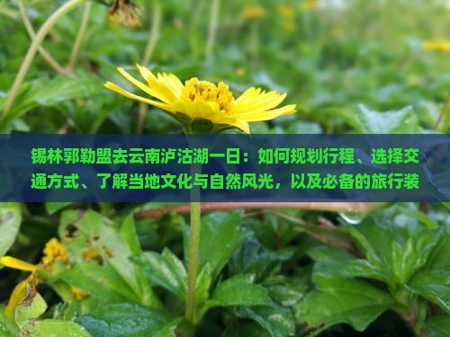 锡林郭勒盟去云南泸沽湖一日