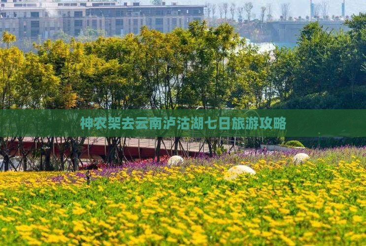 神农架去云南泸沽湖七日游