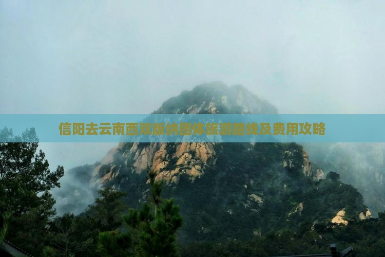 信阳去云南西双版纳团体旅游