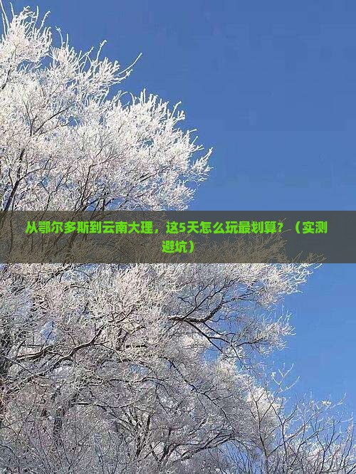 鄂尔多斯到云南大理门票