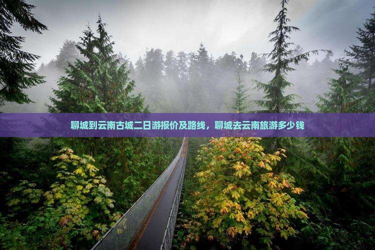 聊城到云南古城二日游