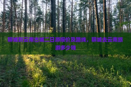 聊城到云南古城二日游