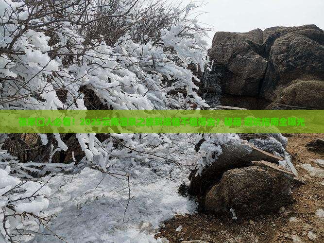 张家口去云南温泉旅游