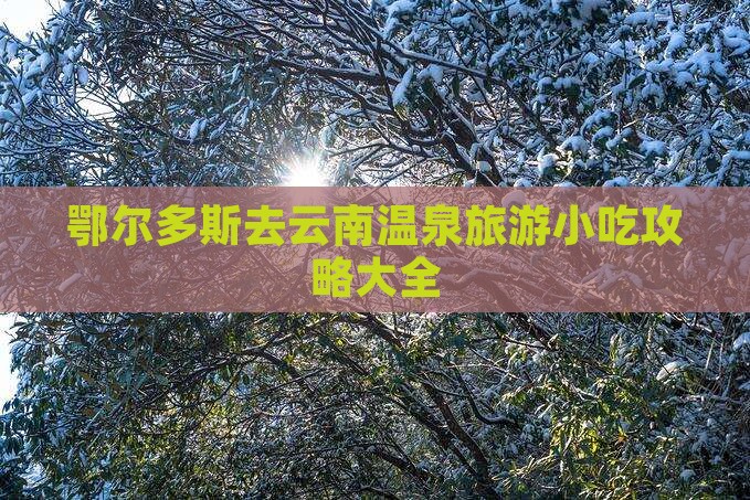 鄂尔多斯去云南温泉旅游小吃
