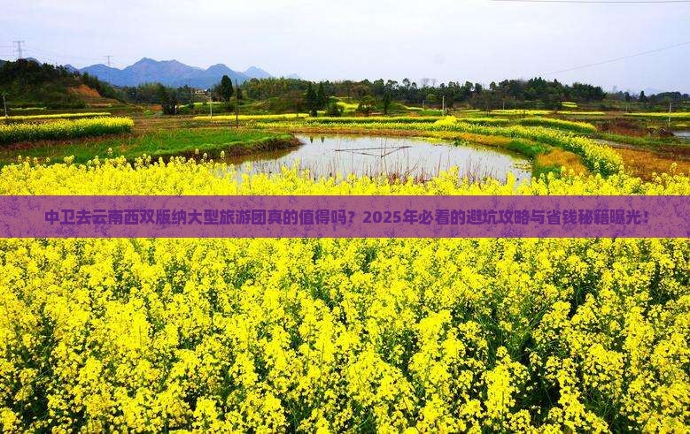 中卫去云南西双版纳大型旅游团