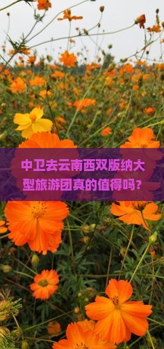 中卫去云南西双版纳大型旅游团
