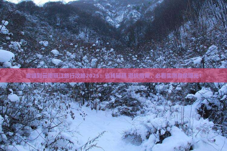 赤峰到云南丽江旅行社