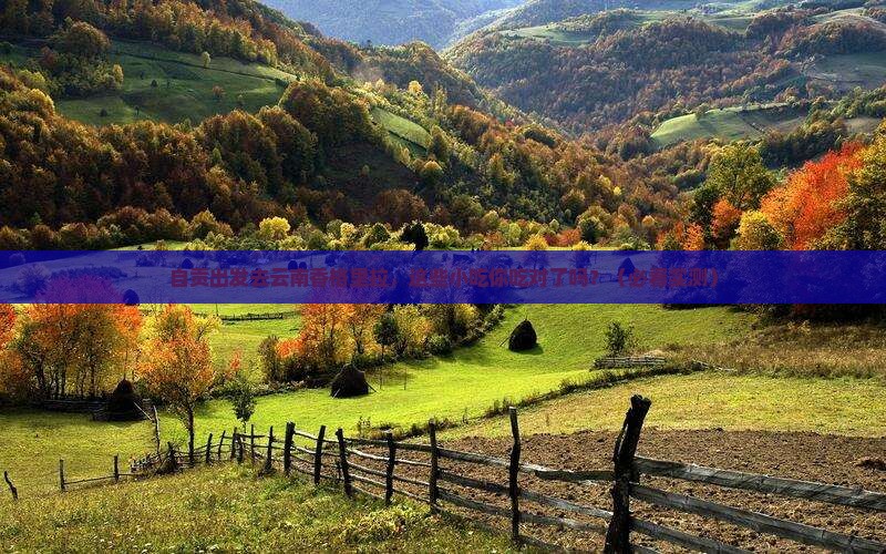 自贡去云南香格里拉旅游小吃