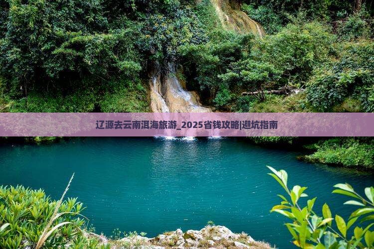 辽源去云南洱海旅游