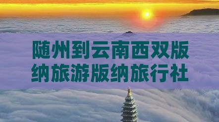 随州到云南西双版纳旅行社