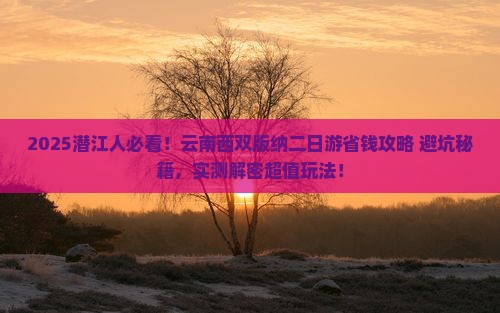 潜江到云南西双版纳二日游