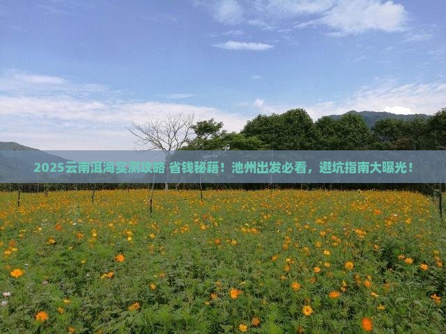 池州去云南洱海旅行社