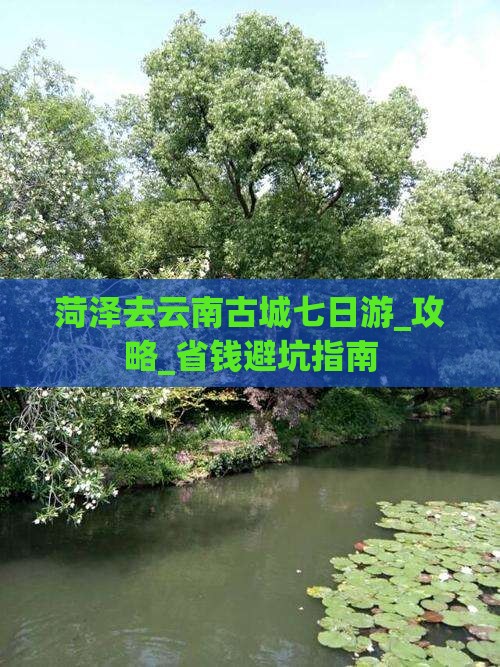 菏泽去云南古城七日游