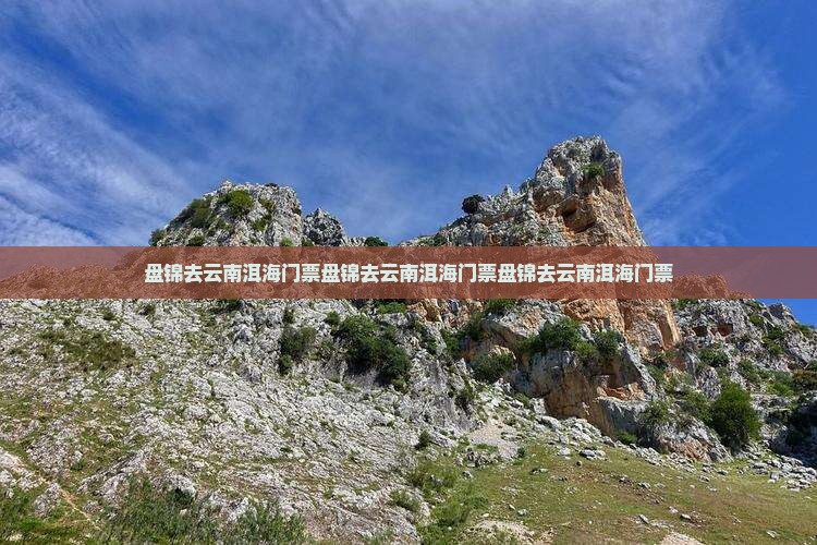 盘锦去云南洱海门票