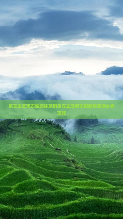 来宾去云南古城团体旅游