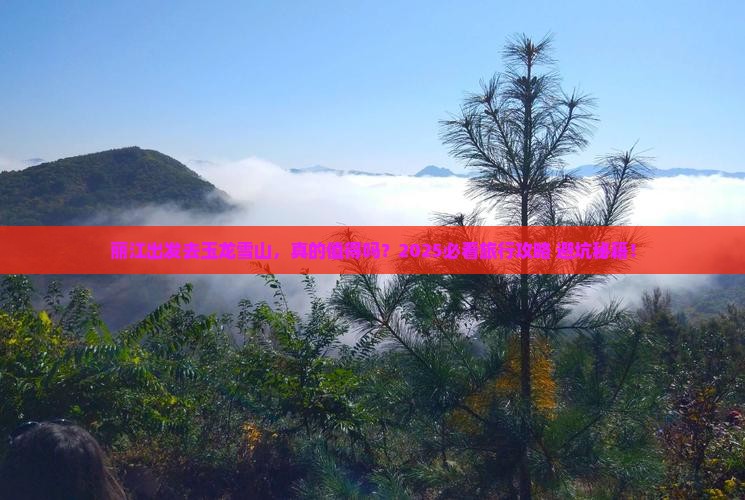 丽江到云南玉龙雪山旅行社