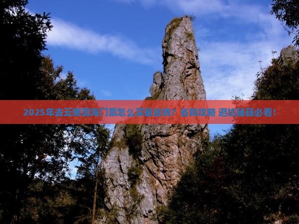 白银去云南洱海门票