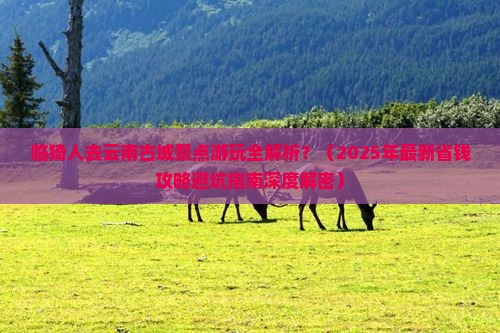 临猗去云南古城景点