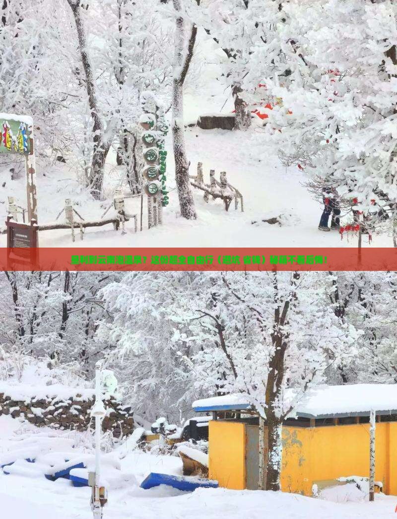 垦利去云南温泉自由团