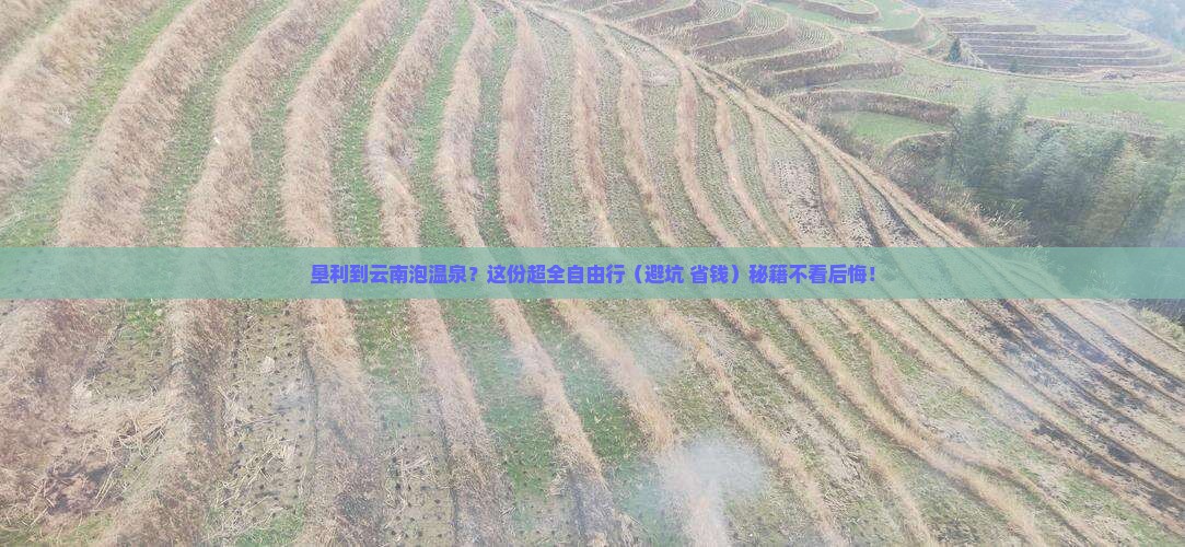 垦利去云南温泉自由团