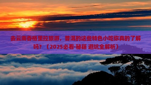 普洱去云南香格里拉旅游小吃