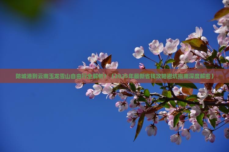 防城港到云南玉龙雪山自由行