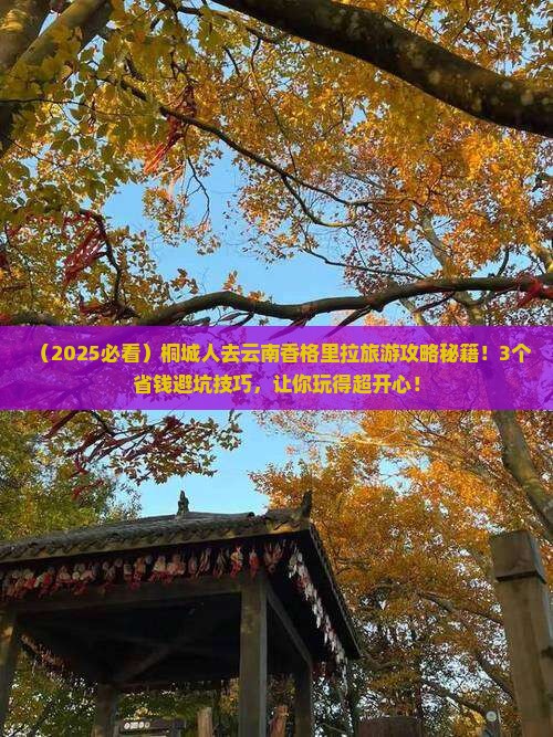 桐城去云南香格里拉攻略
