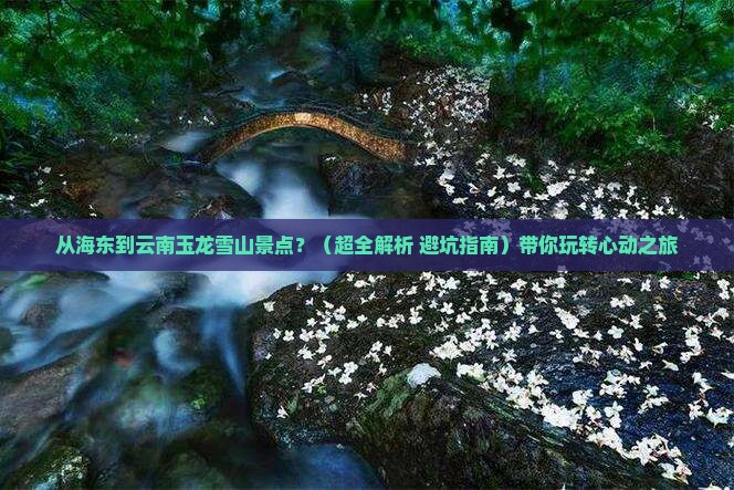 海东到云南玉龙雪山景点