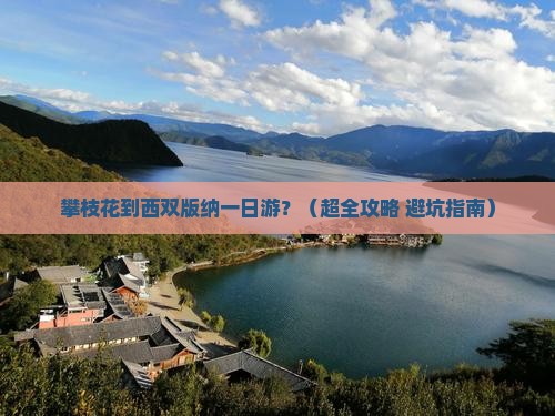 攀枝花去云南西双版纳一日