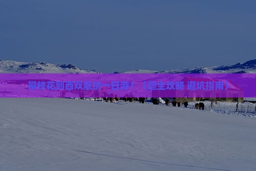 攀枝花去云南西双版纳一日